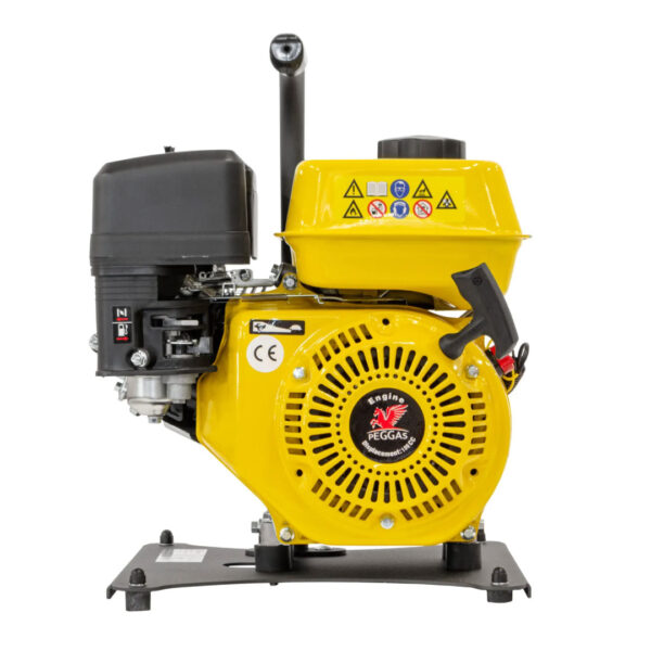 Waspper W3000HG Pressure Washer, Peggas, 5.2 HP, 207 bar / 3.000 PSI